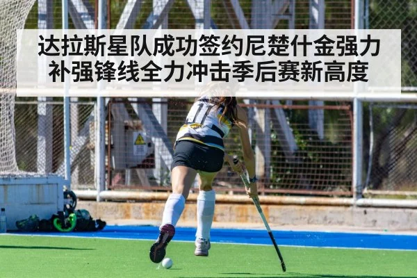 达拉斯星队成功签约尼楚什金强力补强锋线全力冲击季后赛新高度